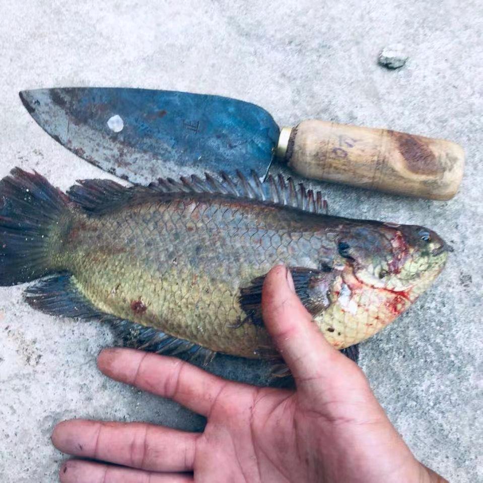 聪明渔选