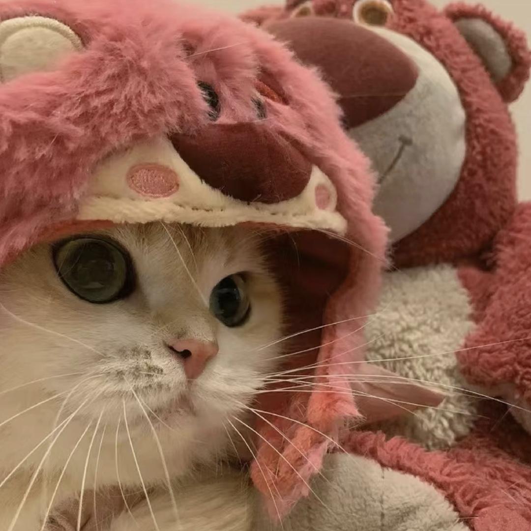 小you鱼天天见
