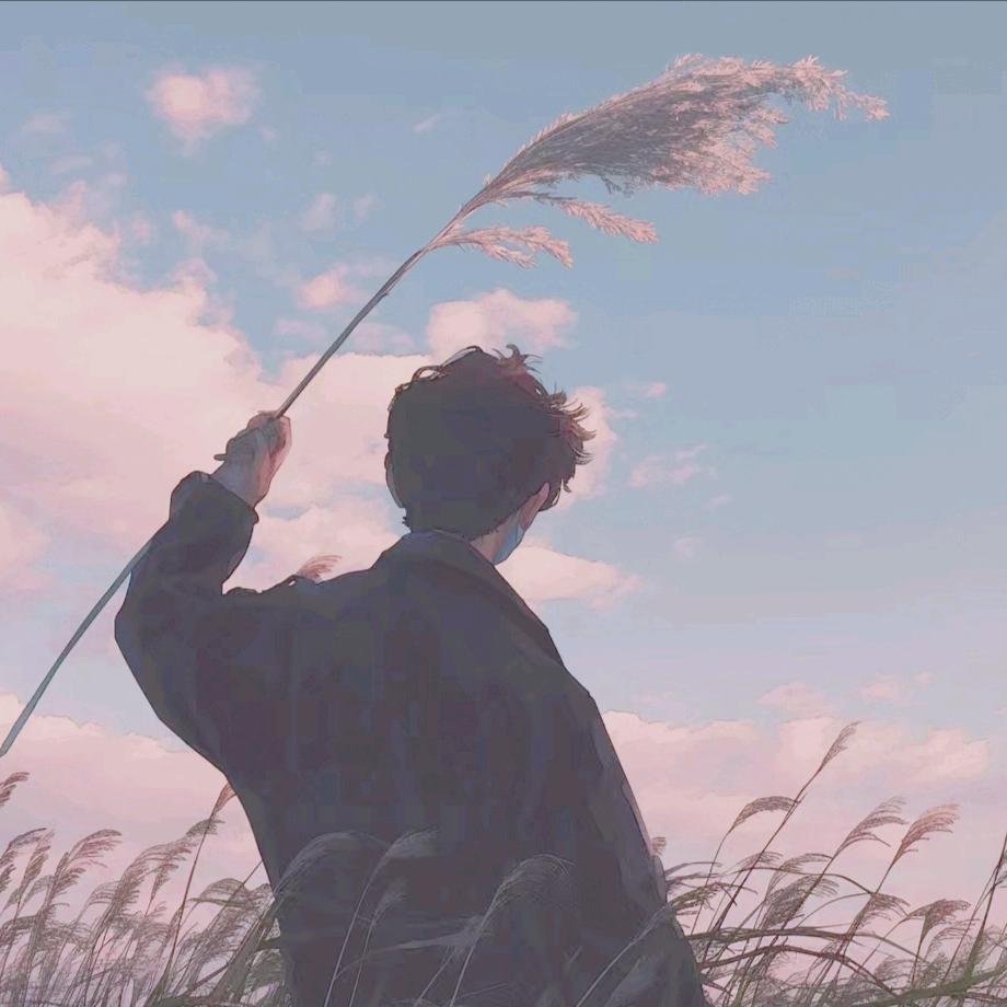 开敌机让枫灿茂茂追我