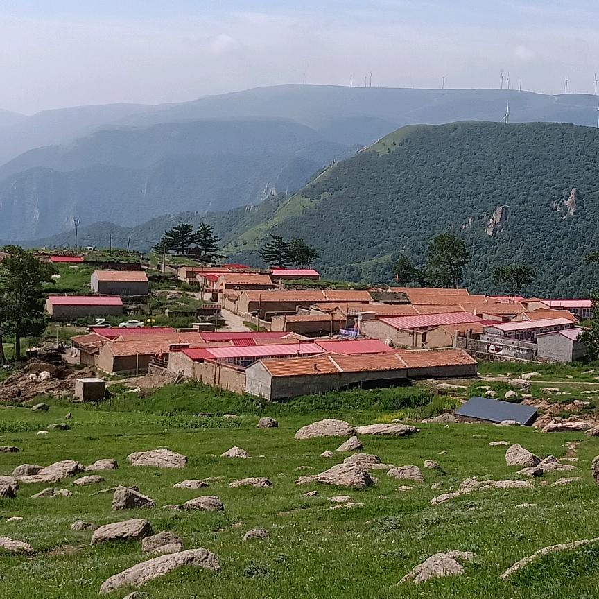 茶山德善农家院