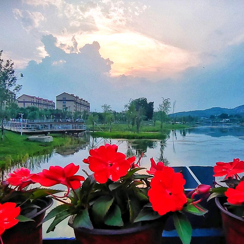 我想我会一直孤单