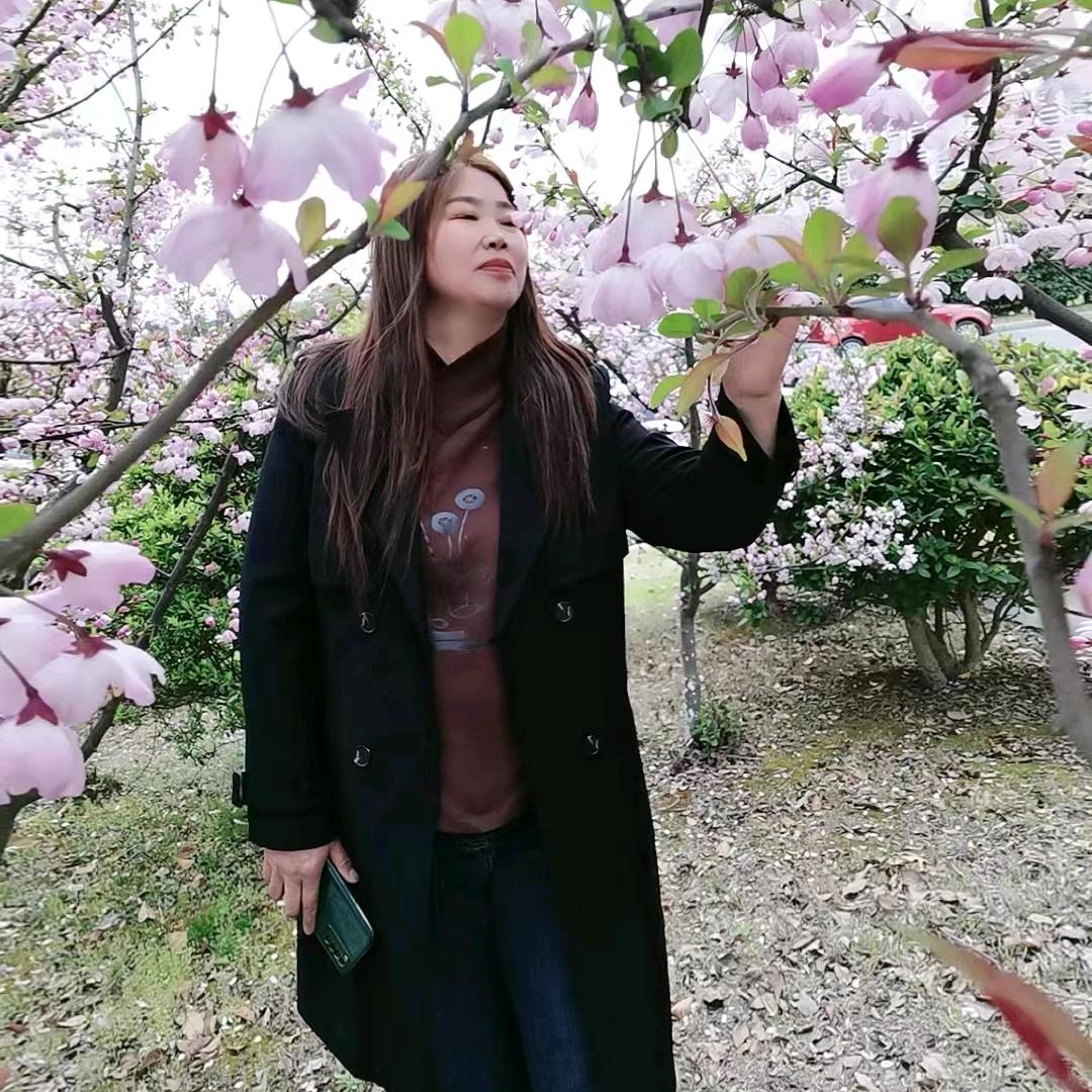 冰雪寒梅