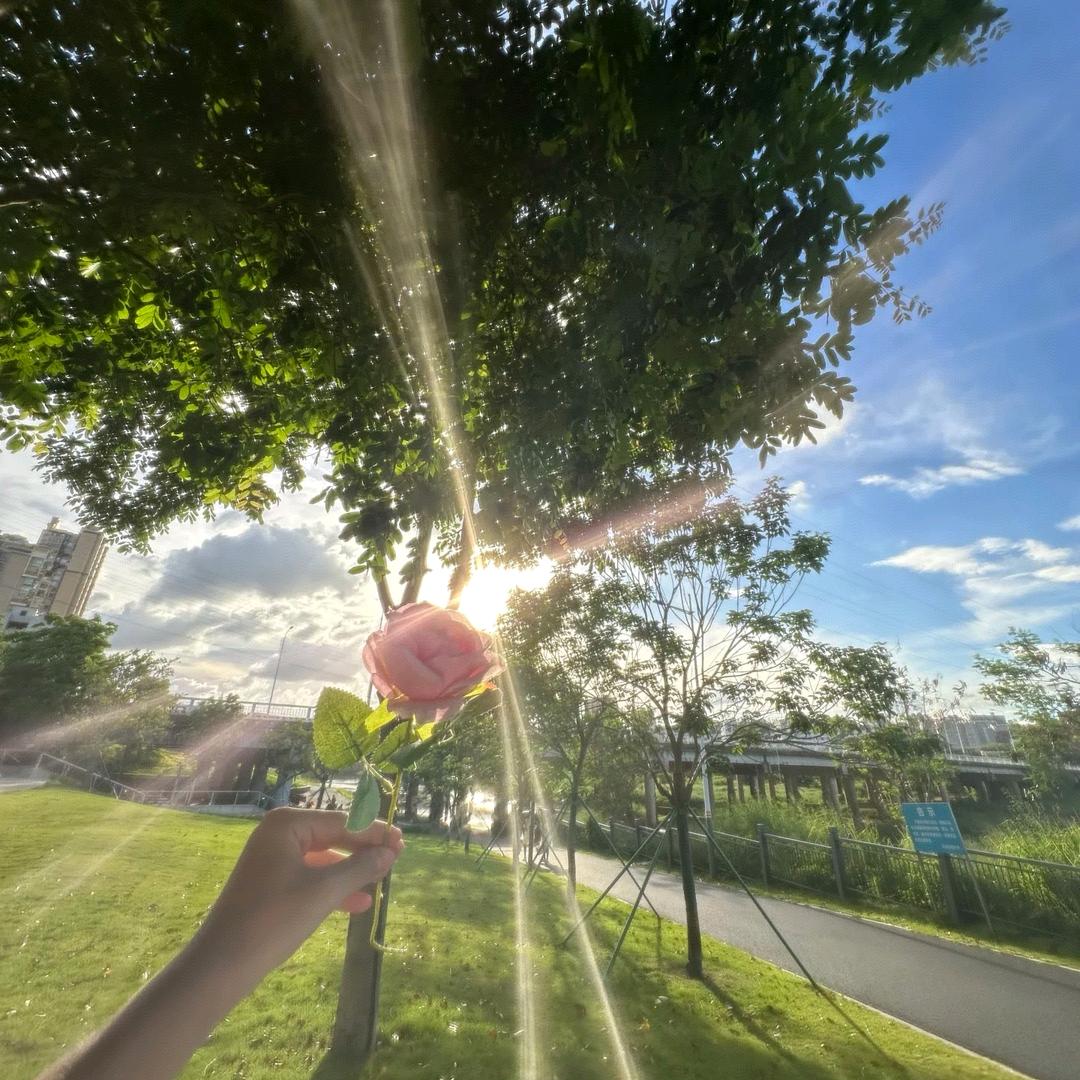 小幸福🌺