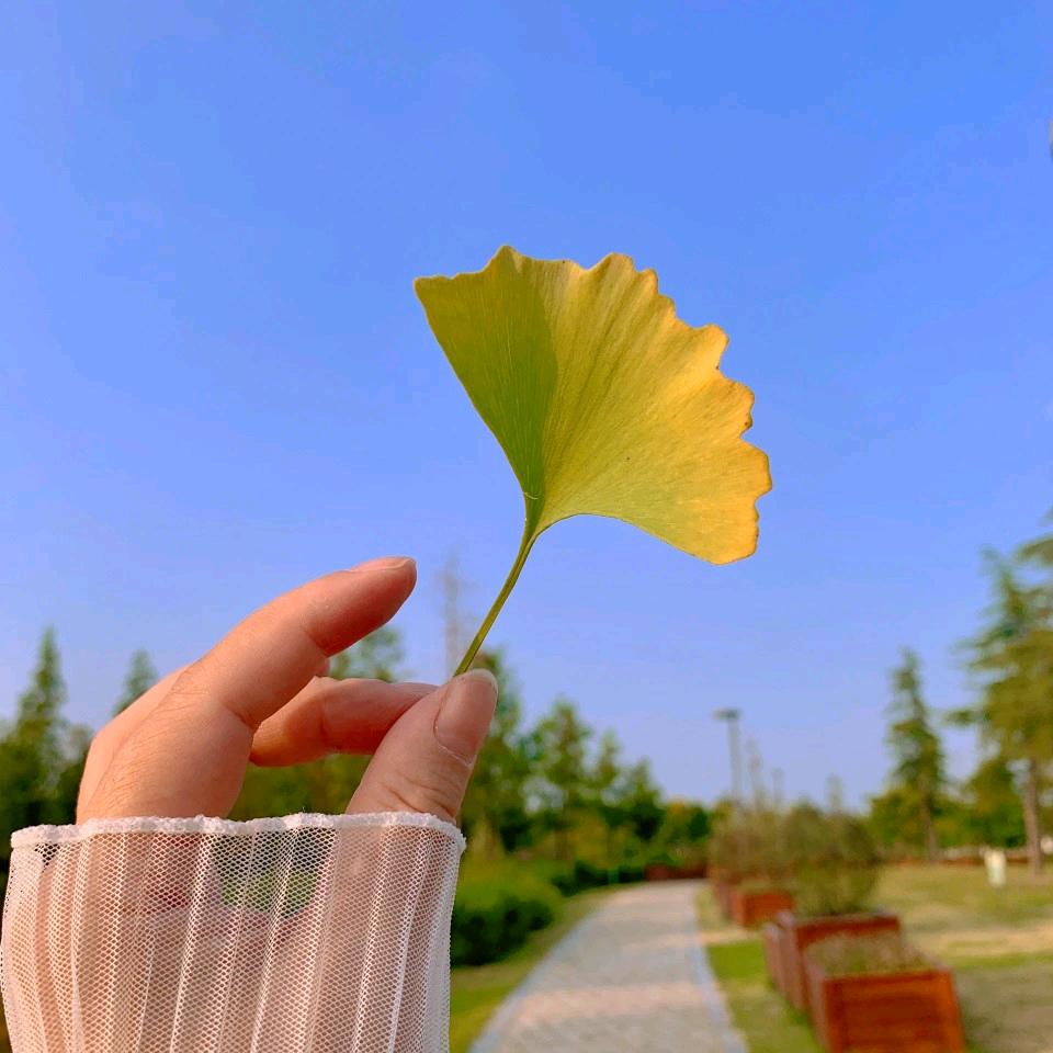 饿了么众包仔