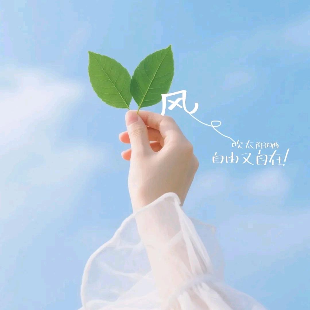 精灵🍀