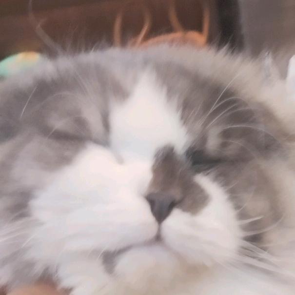 你