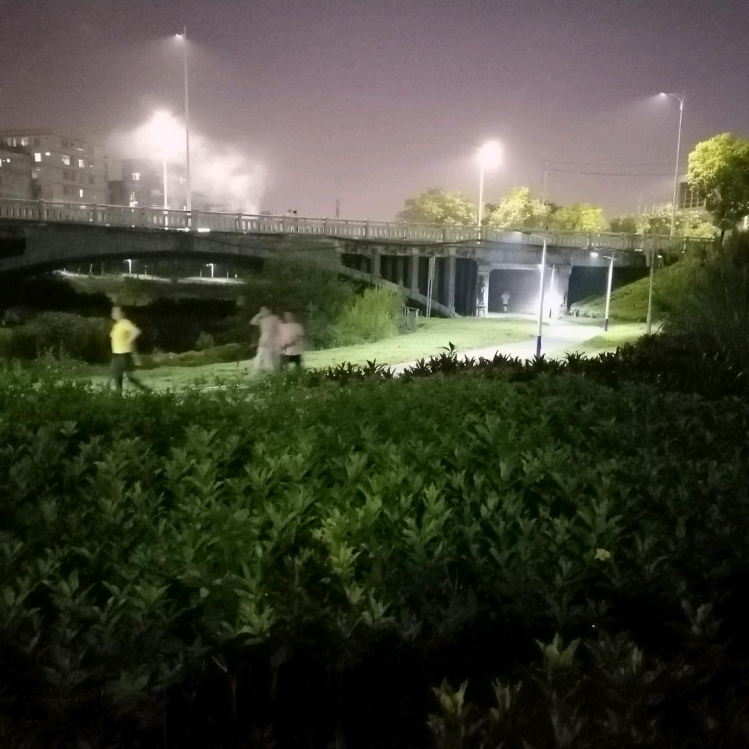 宅月独头像