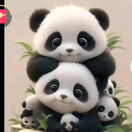 笨笨笨