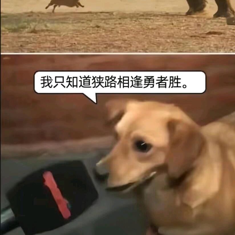 能不能一直下雨🌧️