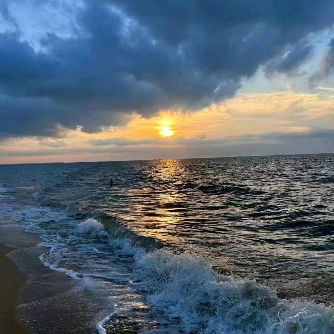 蓝桉长在洱海边