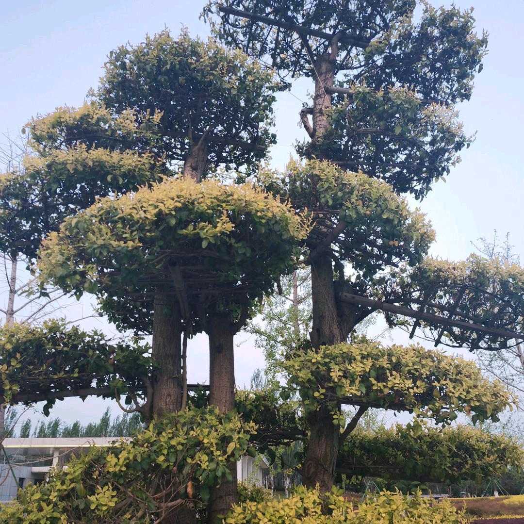 逆风破局