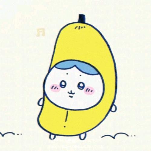 我是小施纸