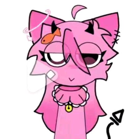 小猫猫