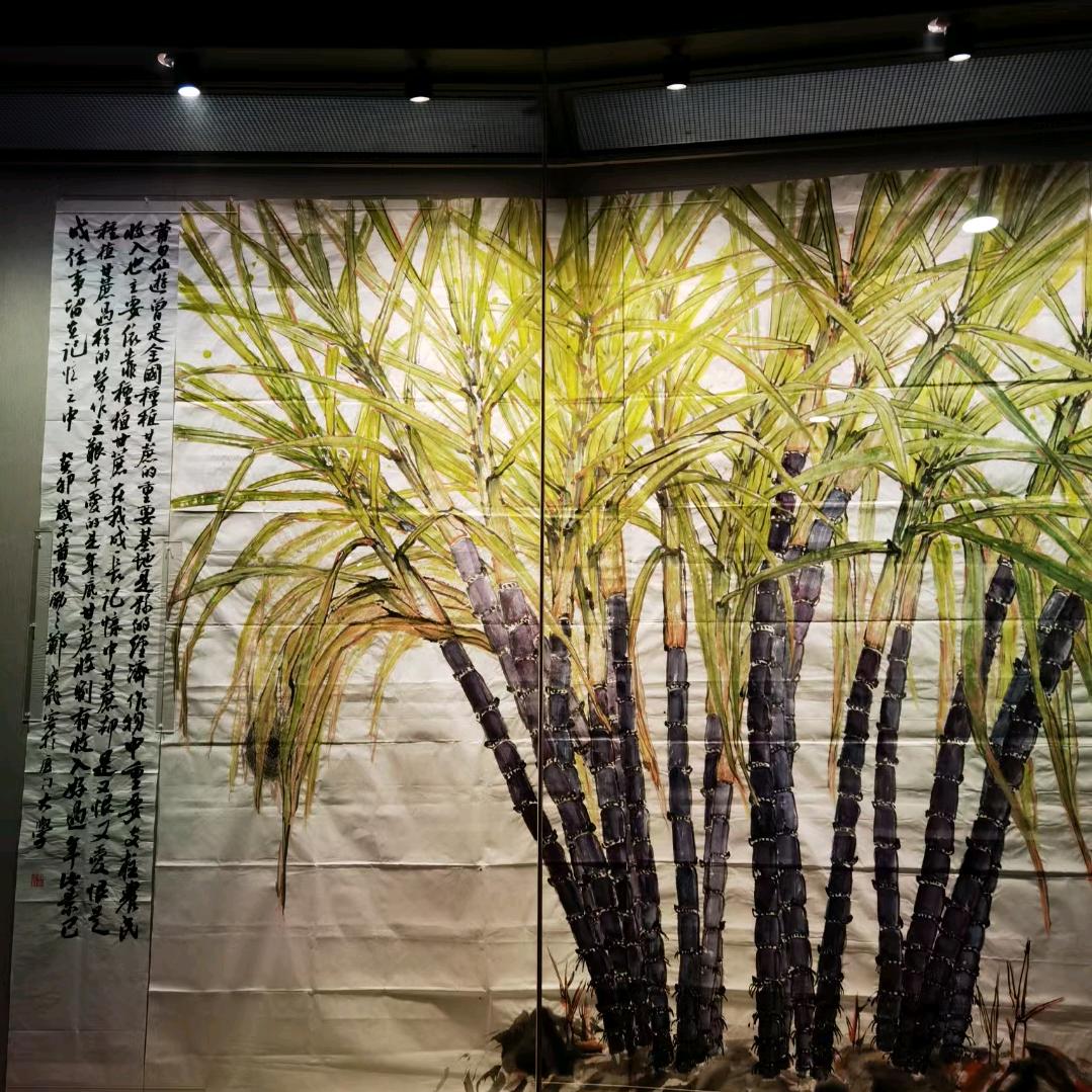 小唐爱吃土笋冻