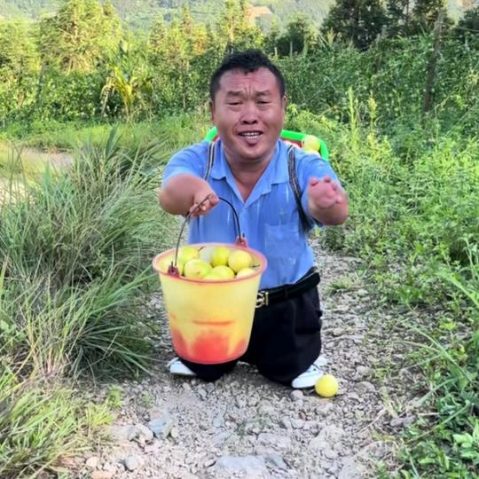 云南小壮