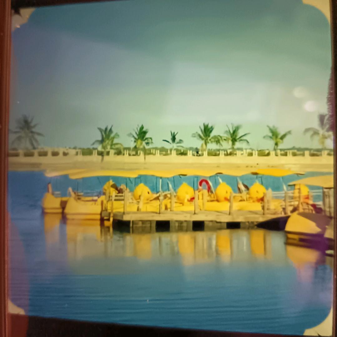 半盏 流年