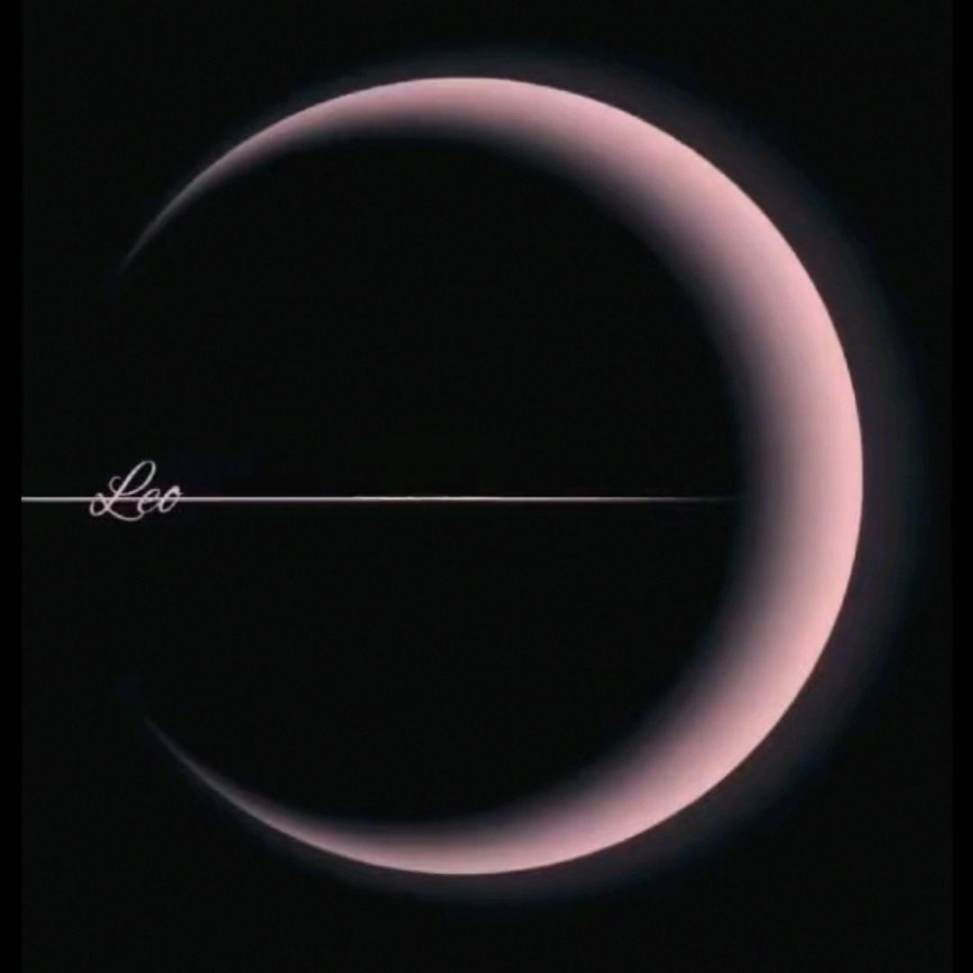 山鹿