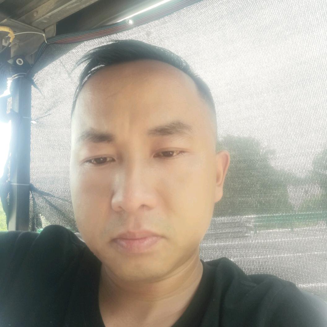 勤能补拙