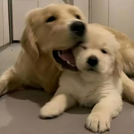 按时睡觉有点难🌵