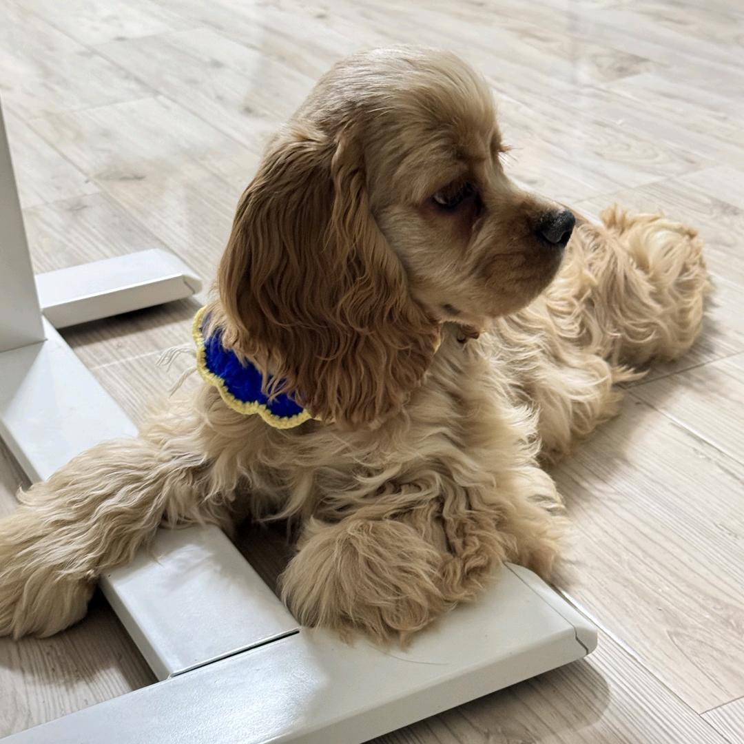 没头脑he不高兴