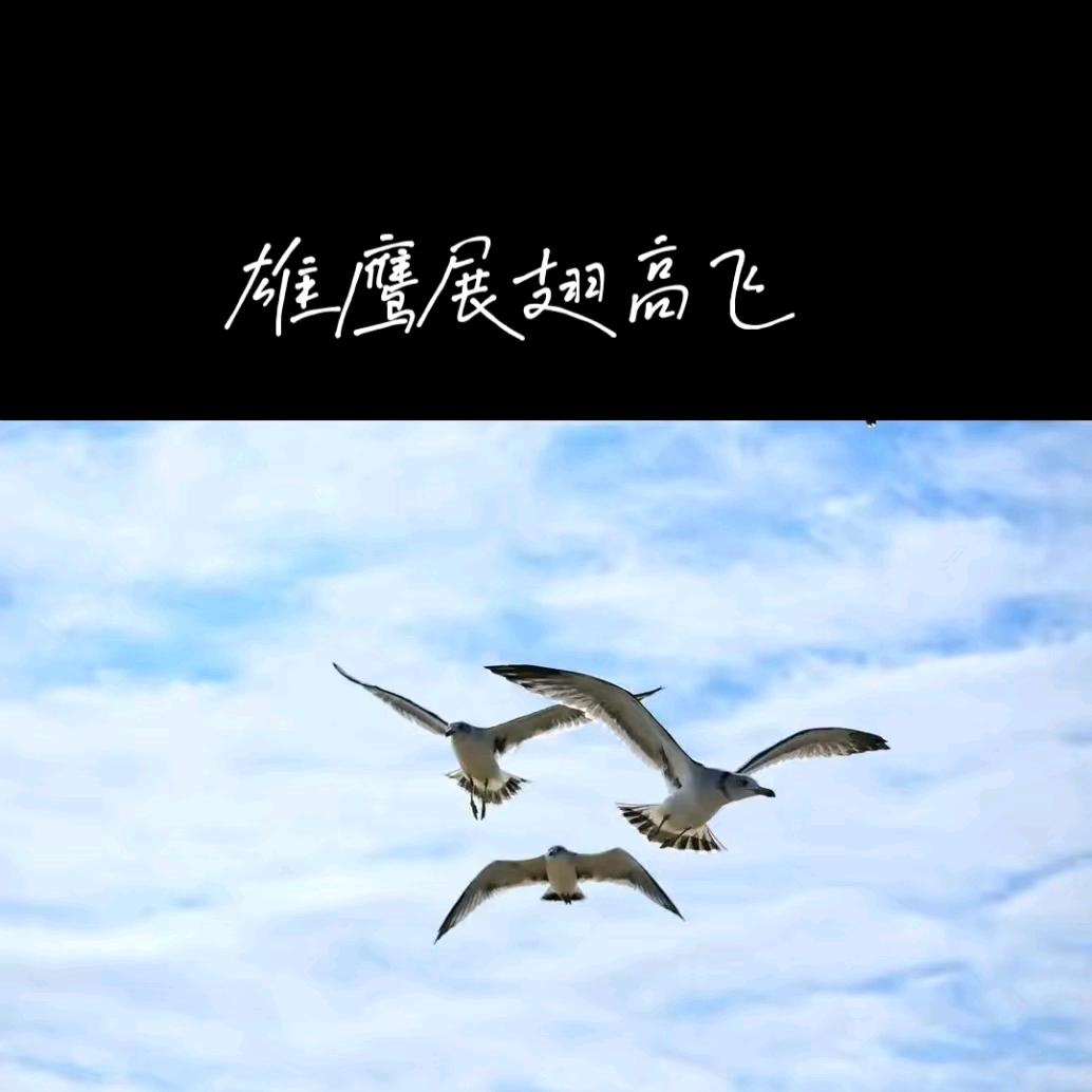 安静的人