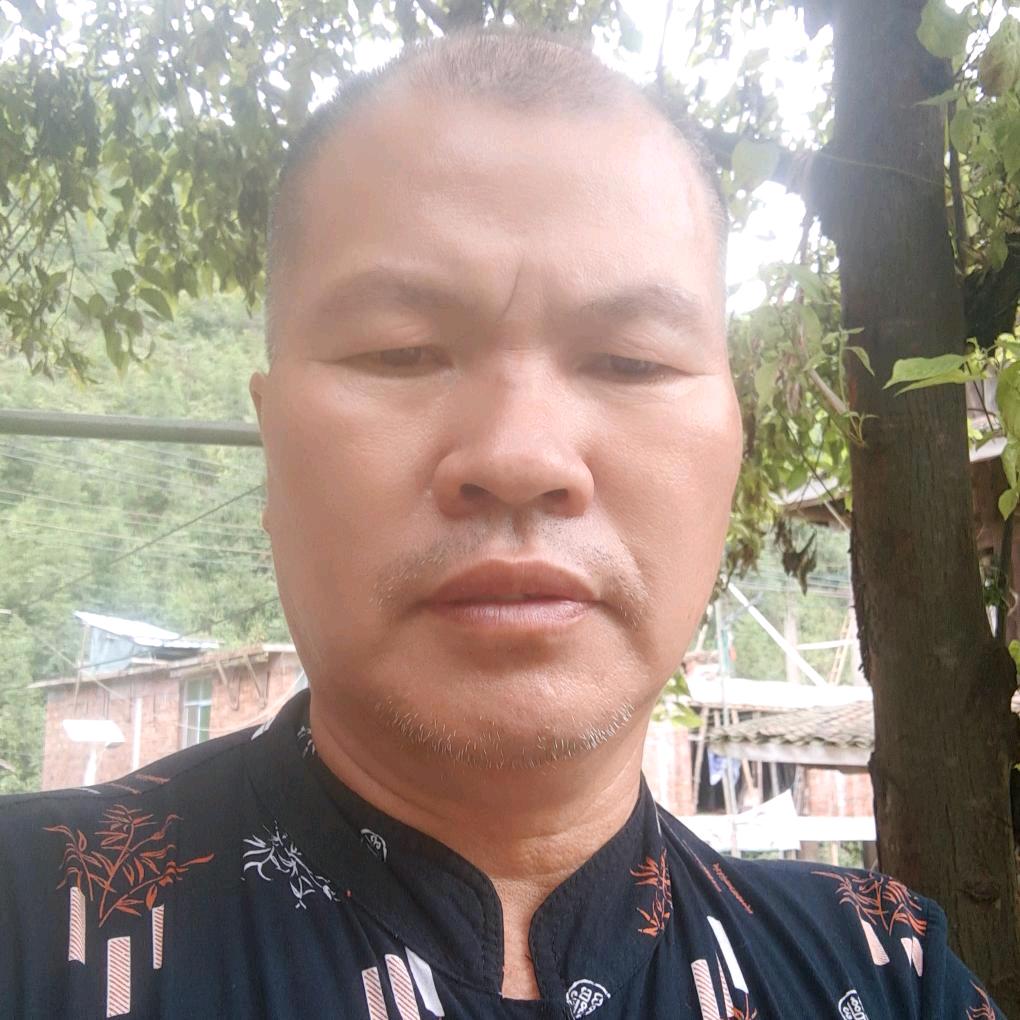 梦中情