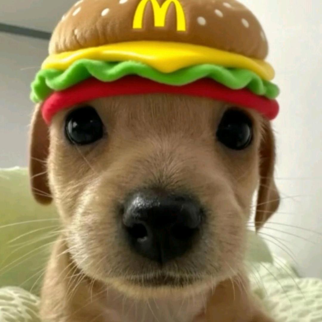 怎么吃都长不胖之人