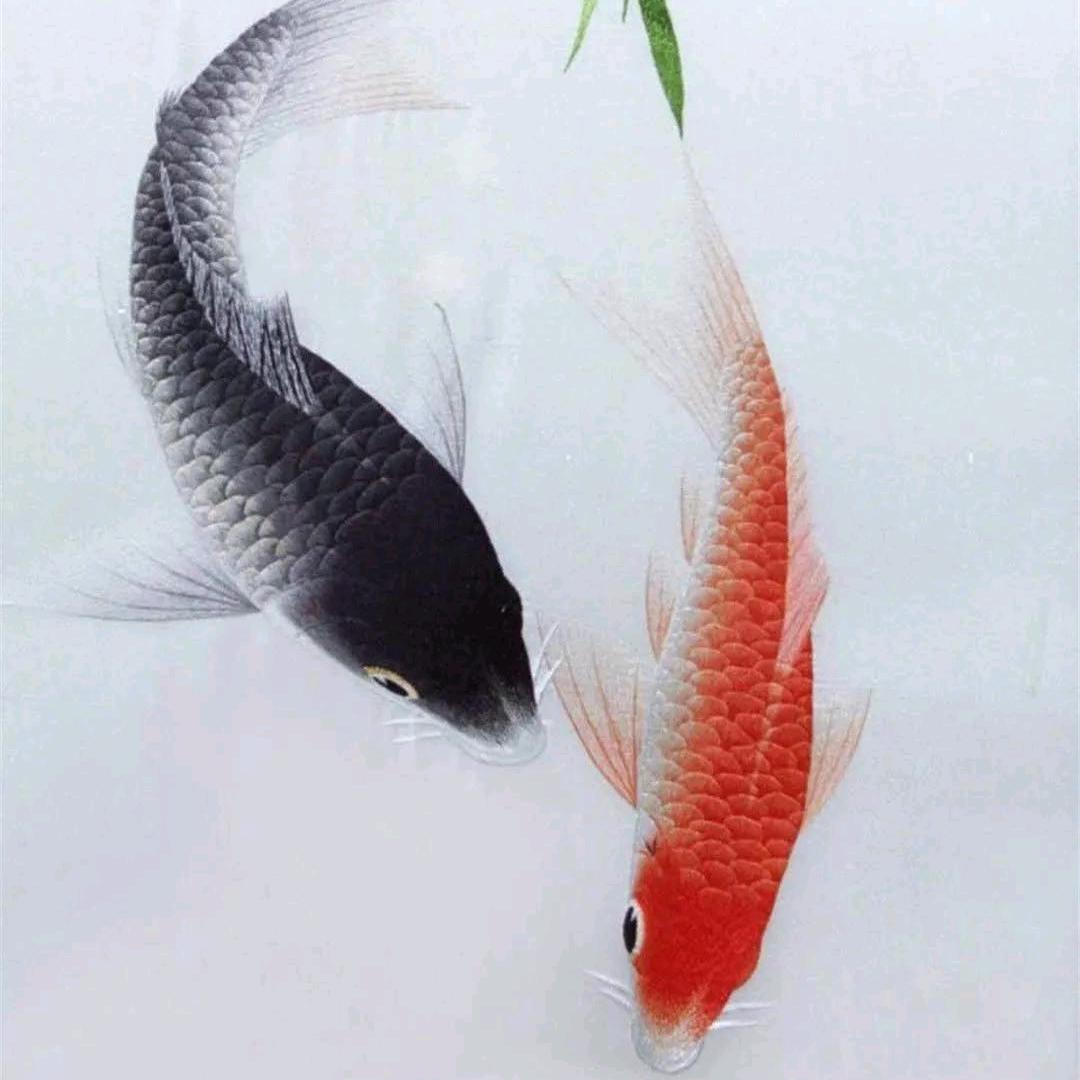 广东    文哥