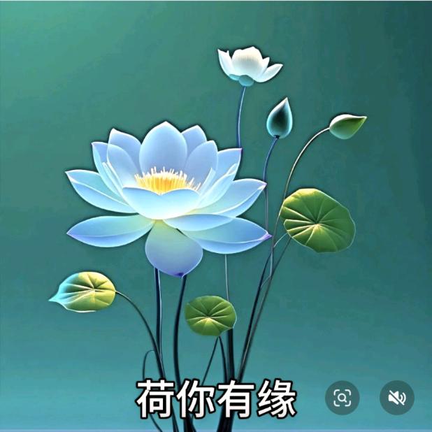 阳光