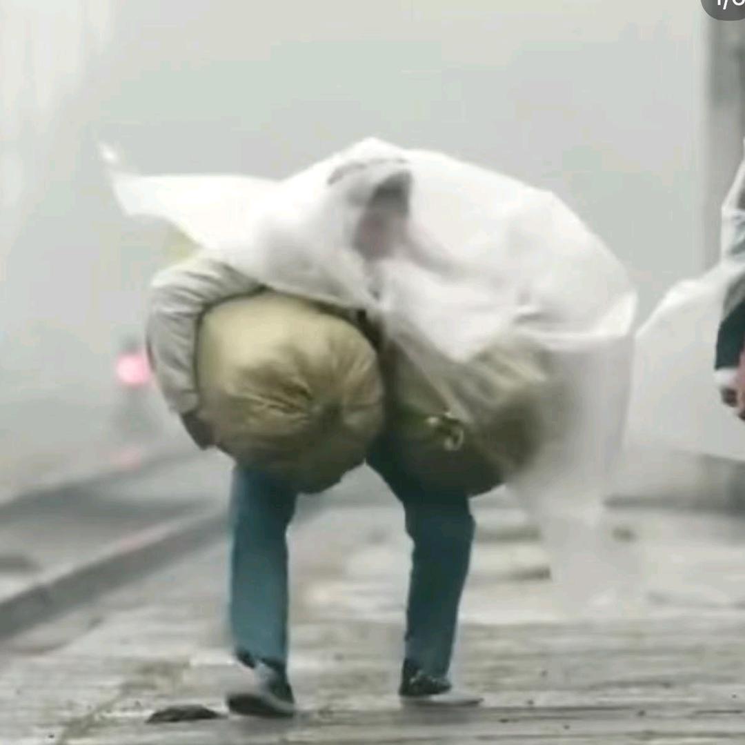 老李不老