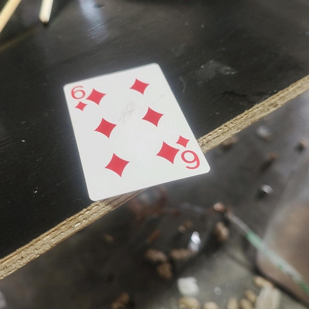 捡石人倩倩个体店