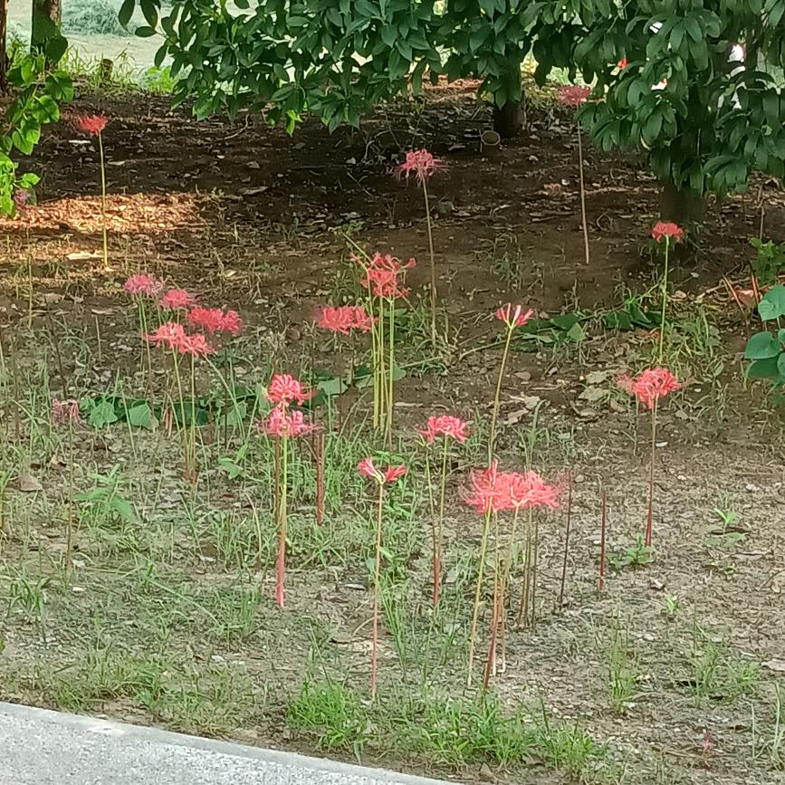 阳光哥
