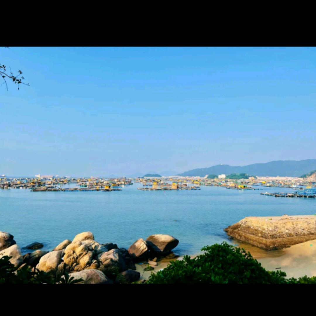 人间游荡的孤魂