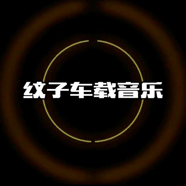纹子打碟优盘 橱窗下单2