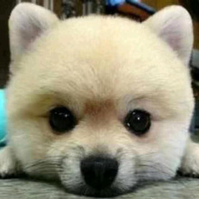 风中的云福州小睿