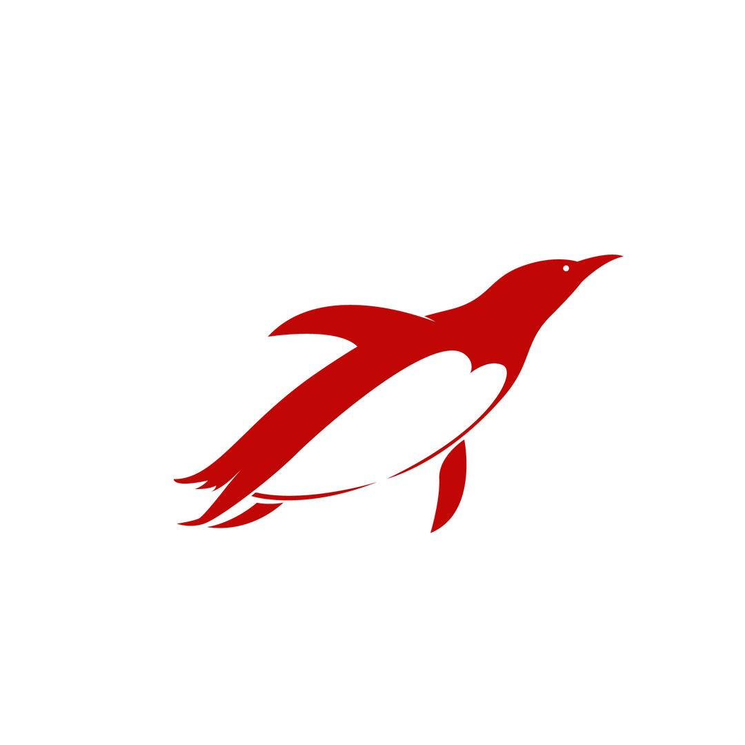 赤企鹅九健山营养膳食专卖店授权号