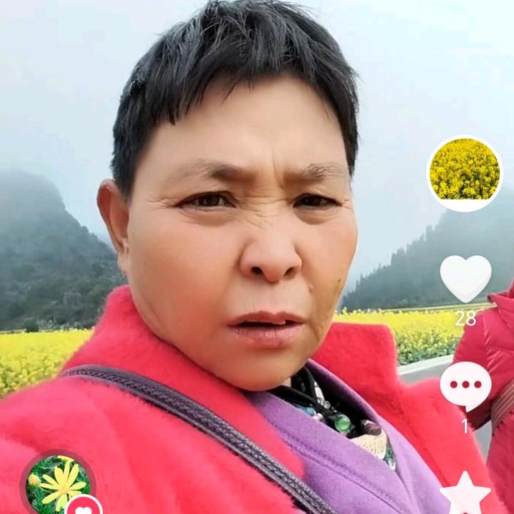 罗姐（每天下午5点20直播）