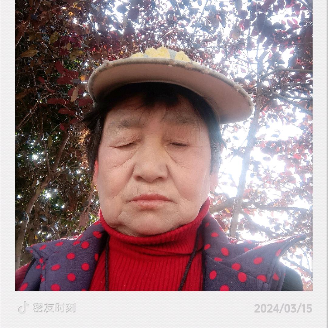 卢莲花