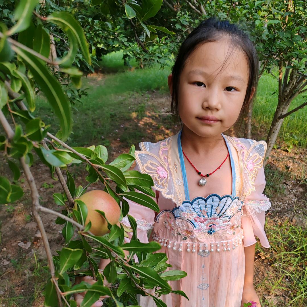 健脾开胃的老陈皮