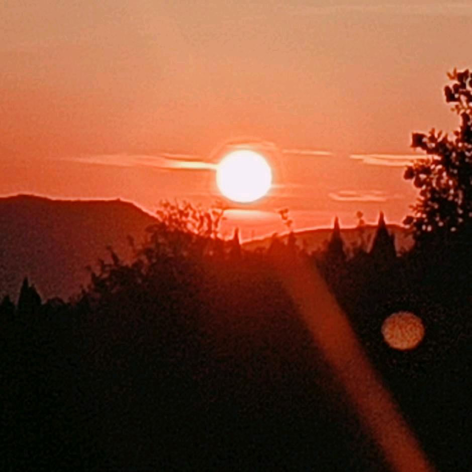 🌸巩义～郑州顺风车