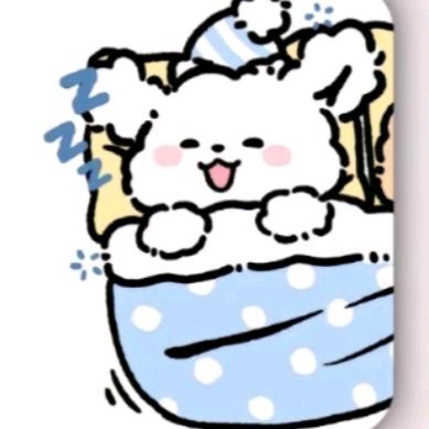 酣睡小熊.