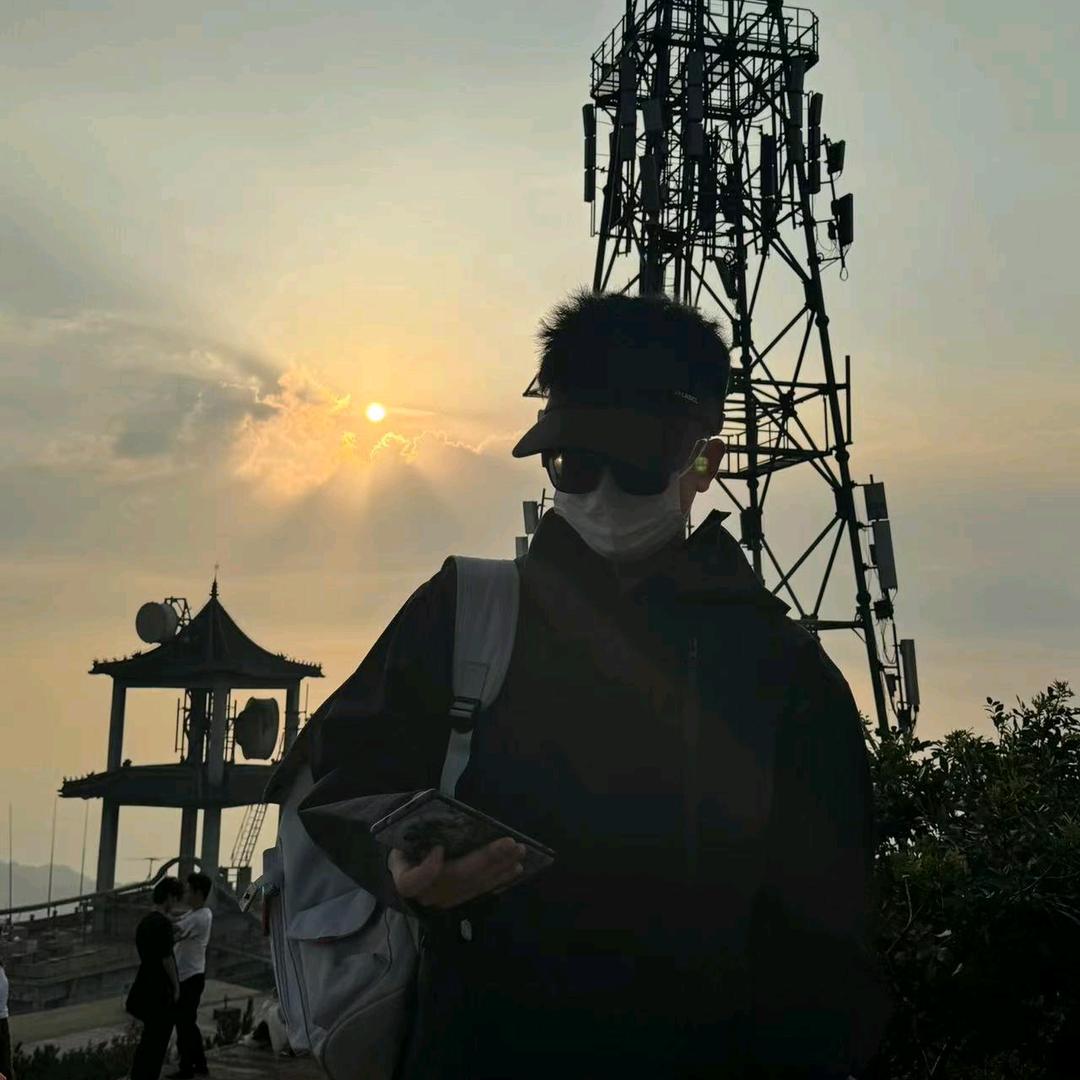 夕辉映木