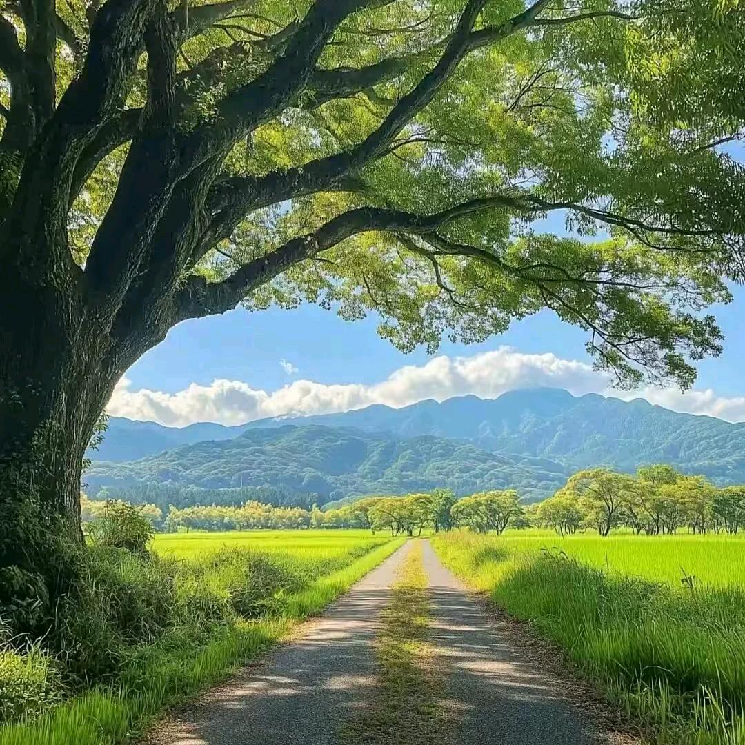 相思红叶
