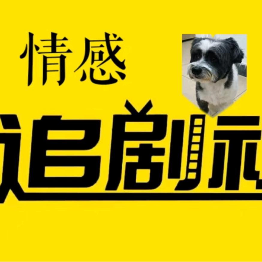 情感视频语录