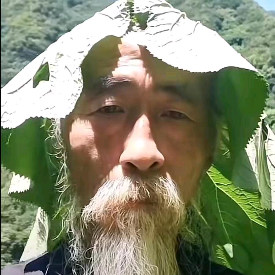 圻圻