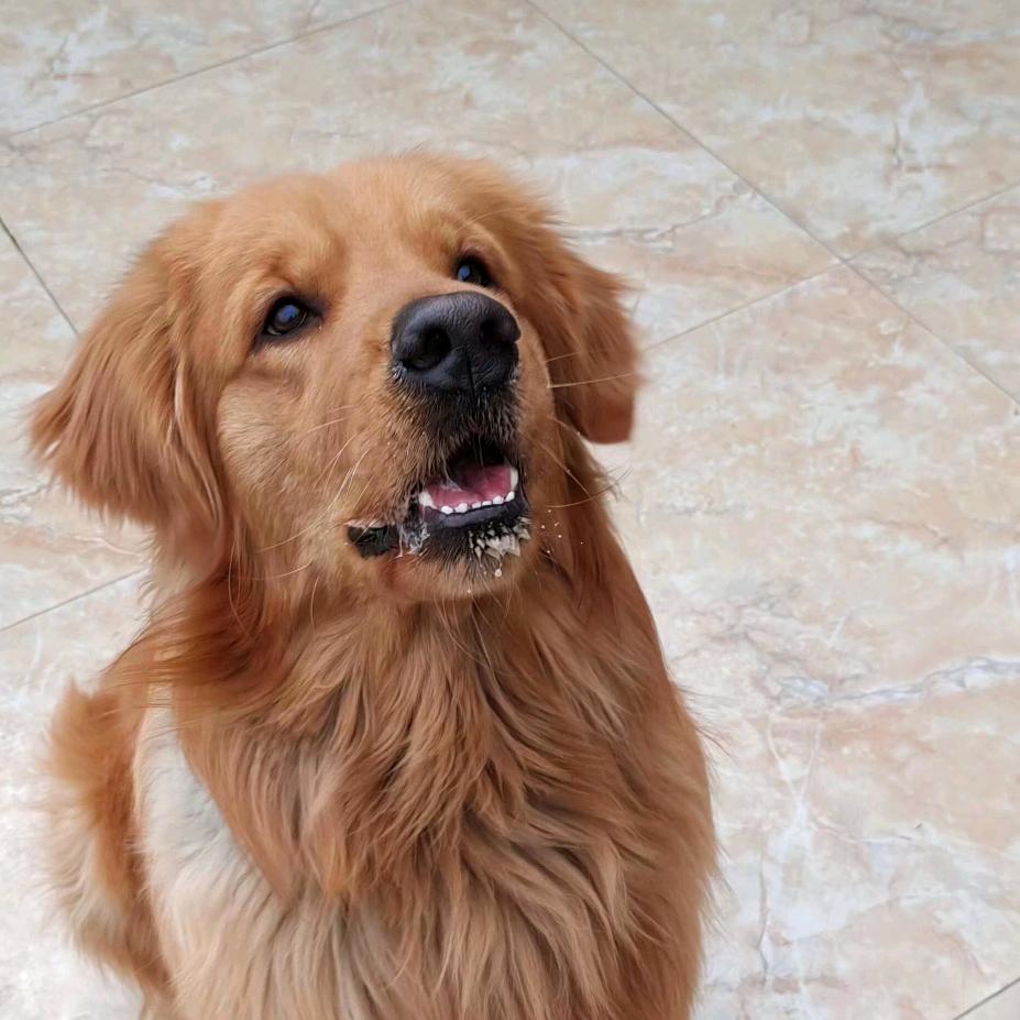 ᭄余生ᝰᩚ随缘ꦿ