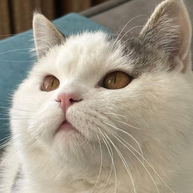 人生如戏。戏如人生