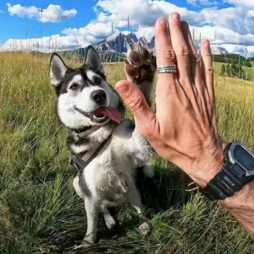 💋不一样的烟火