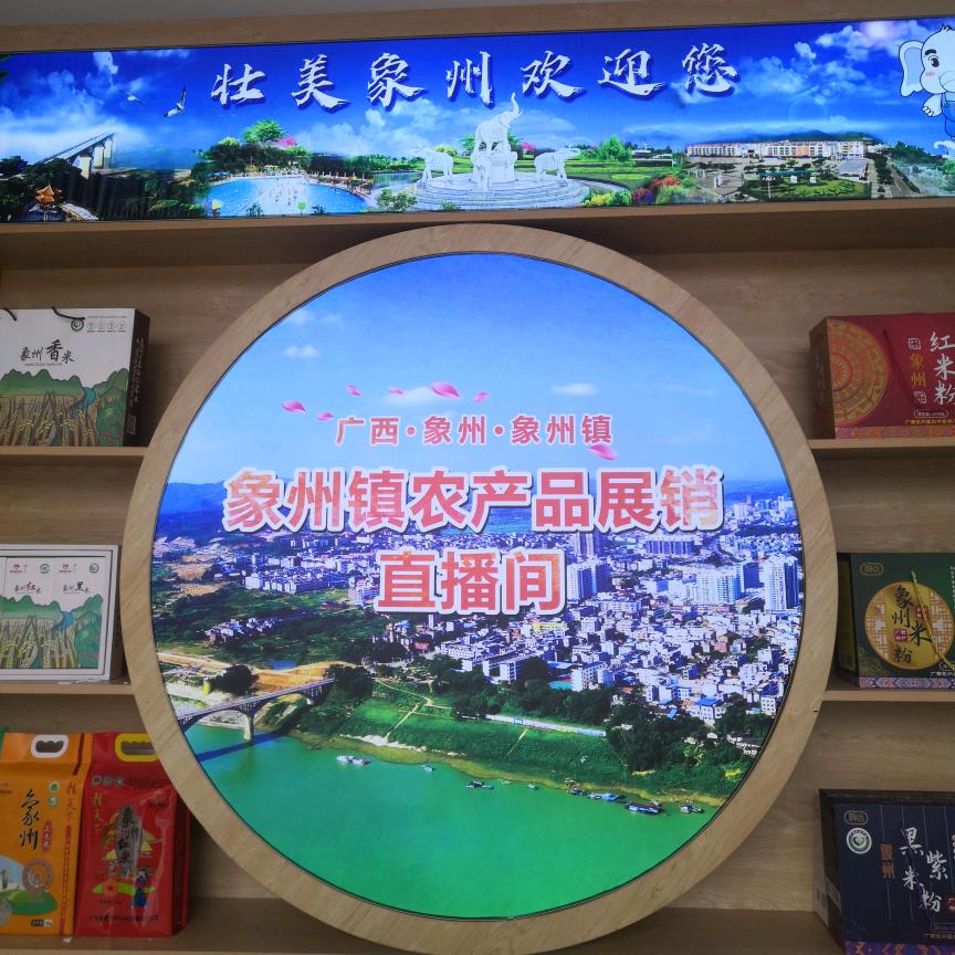 泉美象州