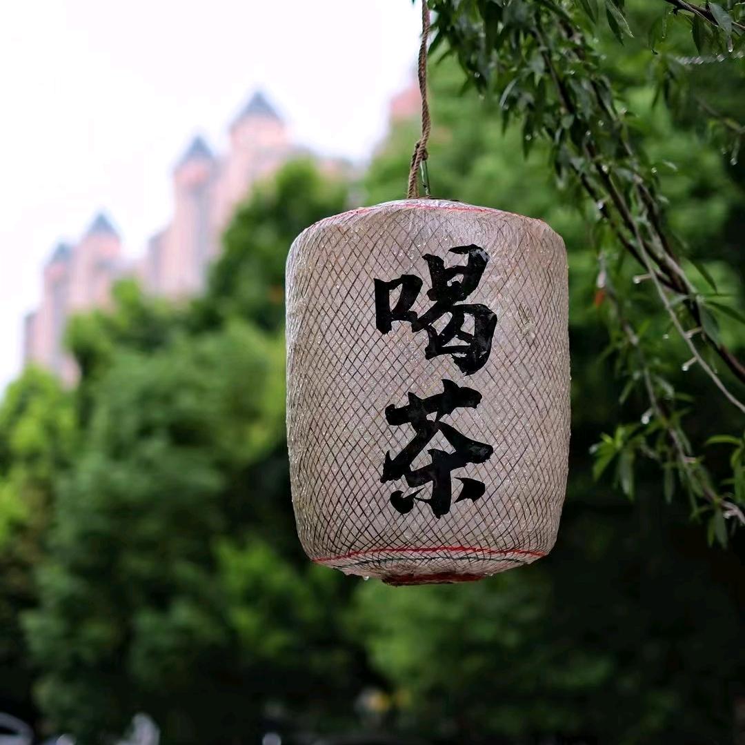 捺崊绿杨春